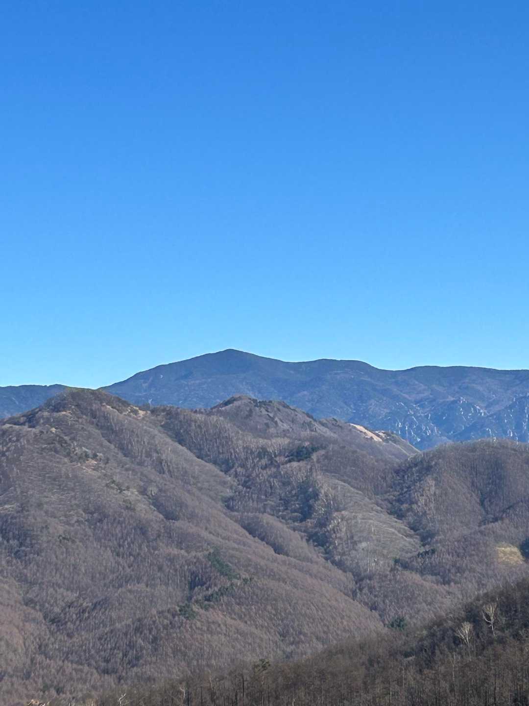 しし岩登山口-平沢山 往復コースの写真