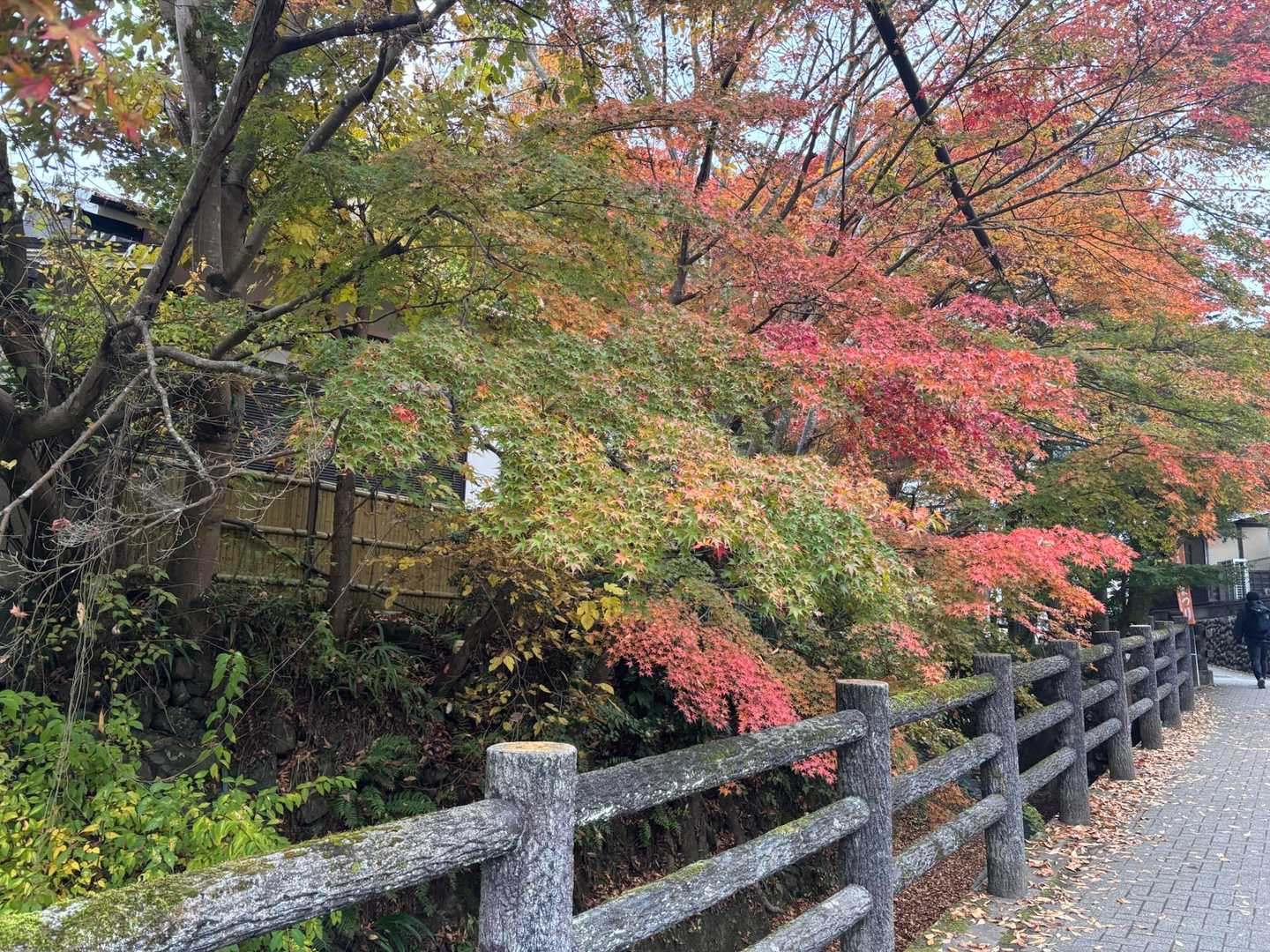 高尾山口-草戸山-榎窪山 往復コースの写真