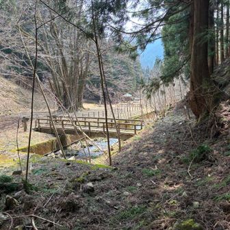 橋を渡り林道に出ます