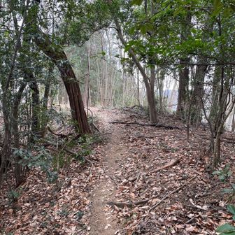 深沢山西峰に到着。
