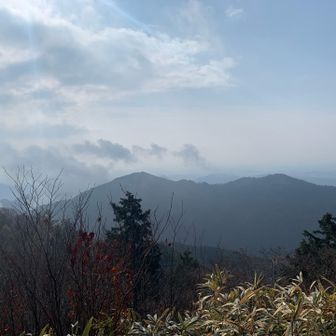 晴れて来た☀️