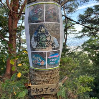 なんかすごい
カンバン出来てます🪧😍

誰かに持って
帰られませんように🙏