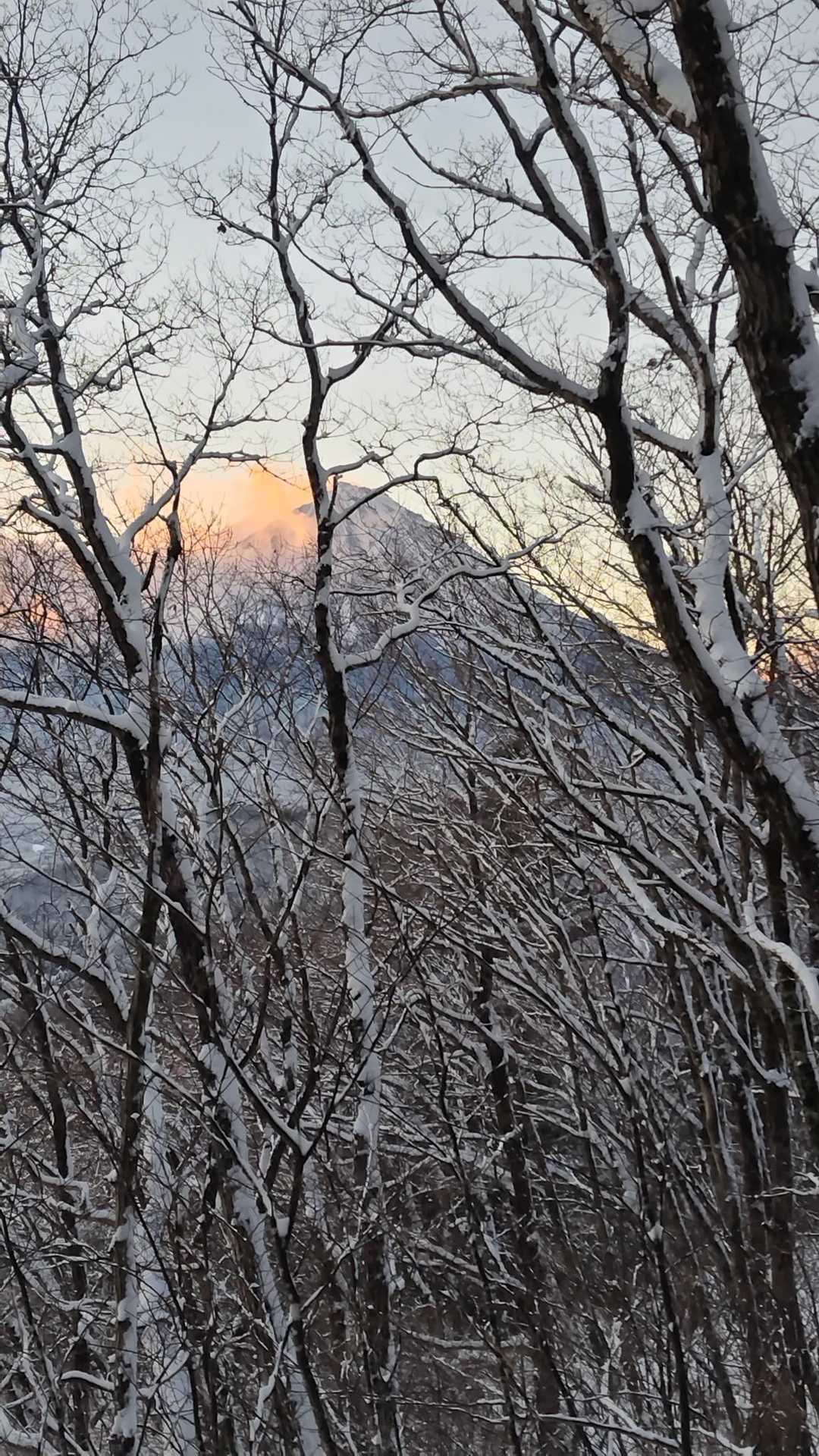 富士山チラッ