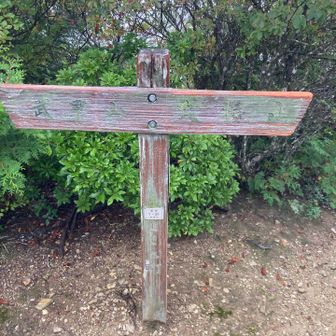 ようやく子持山、これから激降りと武甲山への登りが待っている。