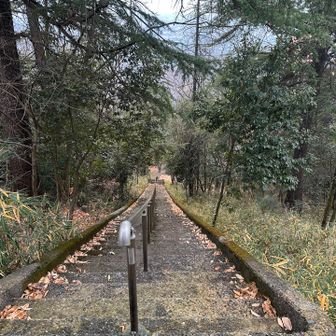 おお、ありがちな、急登の石階段