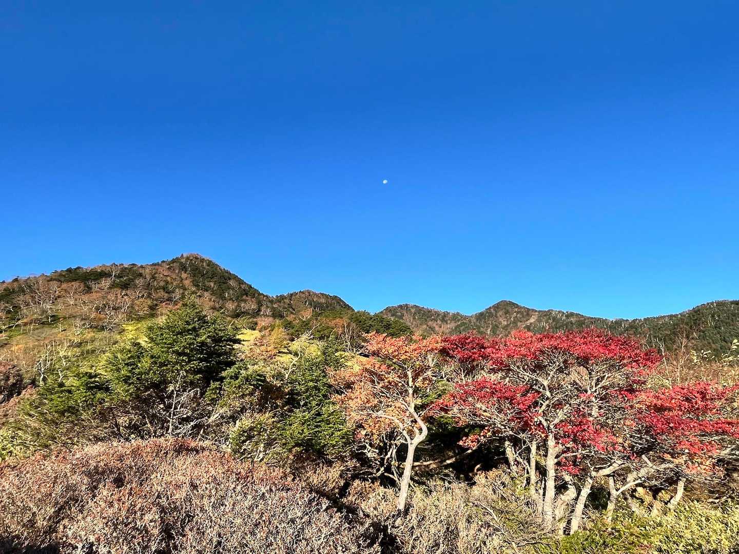 霧降高原レストハウス-赤薙山-丸山 周回コースの写真
