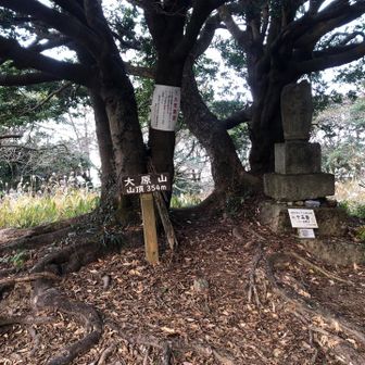 四王寺山一座目･大原山到着～🙌
サクサク行くよ～