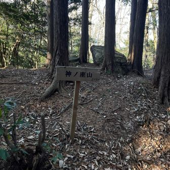 大高取山から分岐を進んで11座目　神ノ座山
