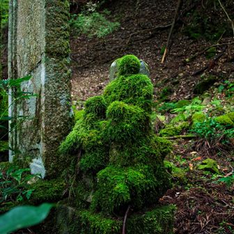 お地蔵さん、と思われます。苔ですごいことになっています。