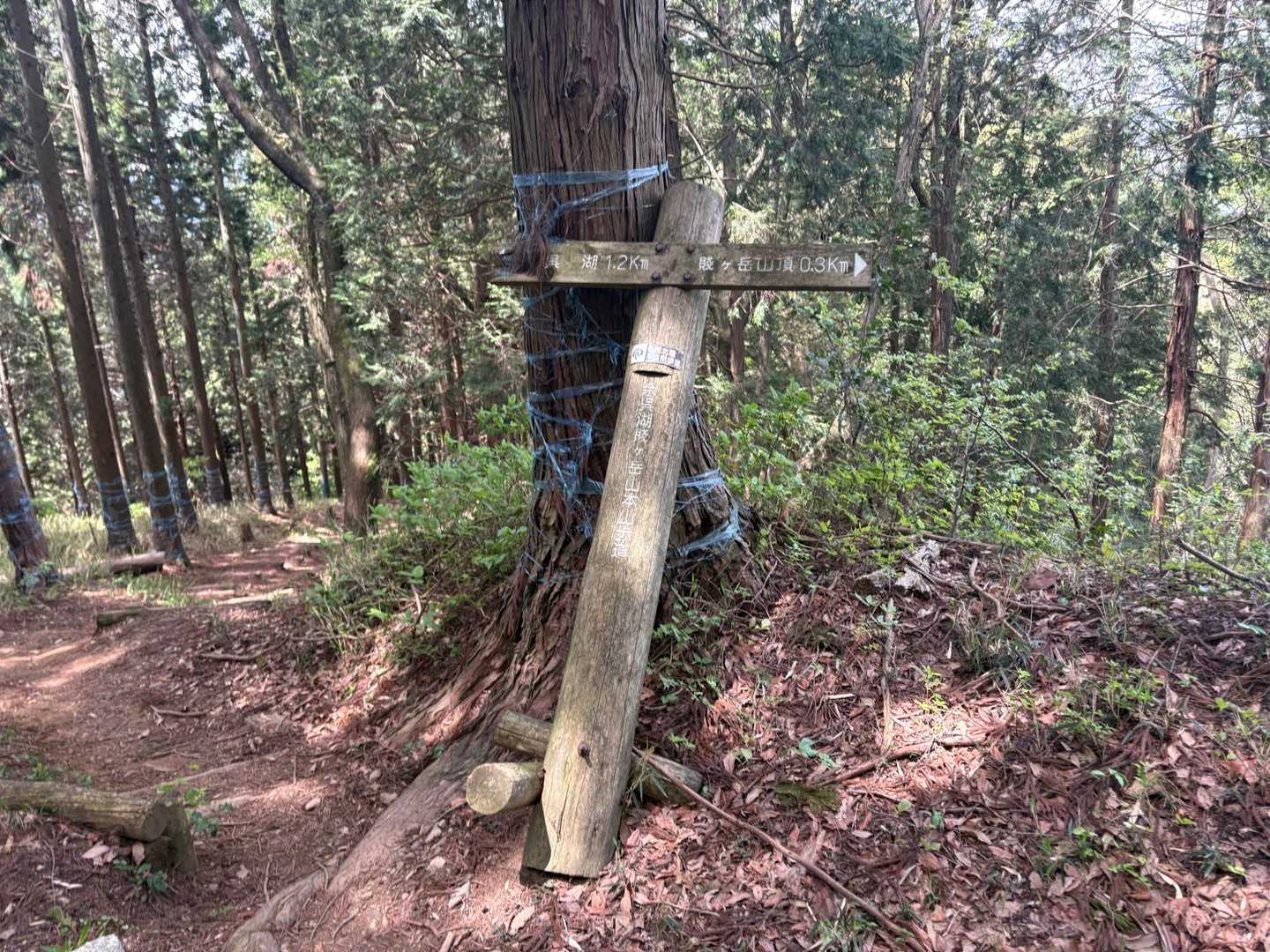 降ります