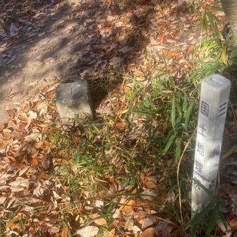 三等三角点（連島）は展望台から東へ約50ｍ進んだ展望のない所に置かれている 🔺