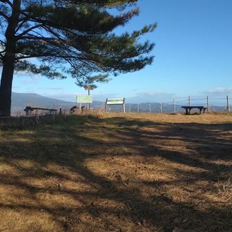 山頂！

ベンチあり
広い！