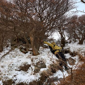 山頂付近は雪が残ってる。
早く雪に埋もれて遊びたい☺️