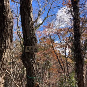 何座目かわからない😆