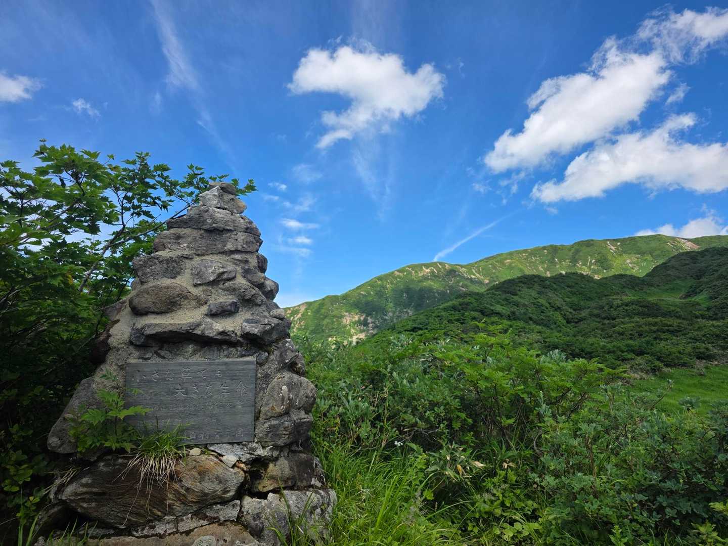 湯殿山バス停-湯殿山神社-月山神社-月山 往復コースの写真
