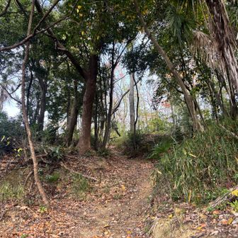 おぉ！今日、初の山道😍😍
景福寺山へのアプローチ。