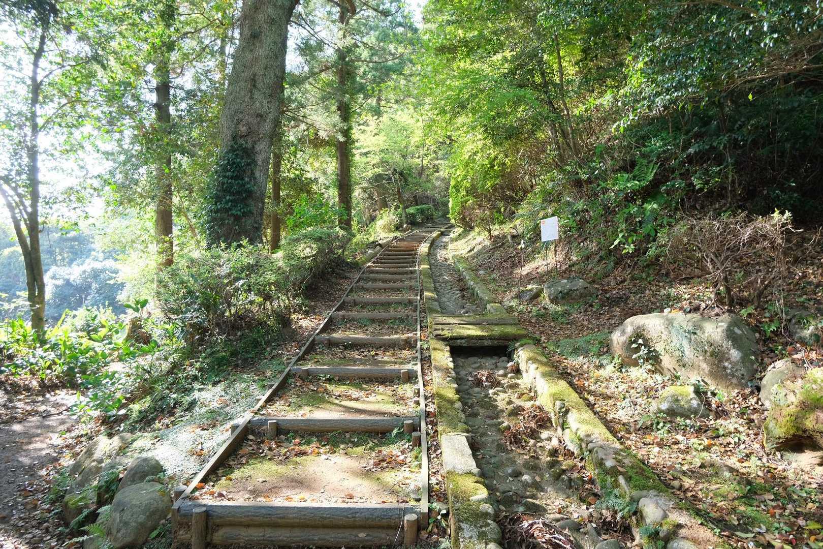 大平山 往復コースの写真