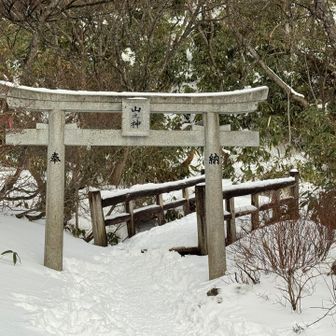 よろしくお願いします🙏