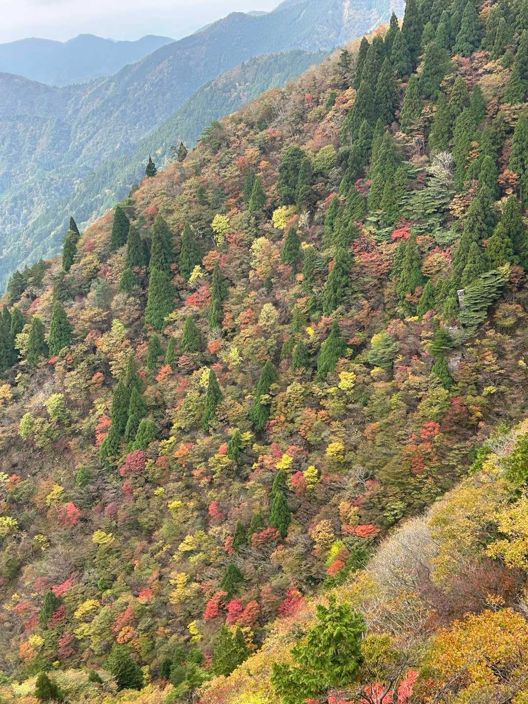 山肌がかわいい🍁
