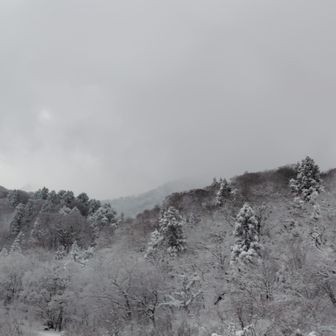 晴れ予報だったような・・・