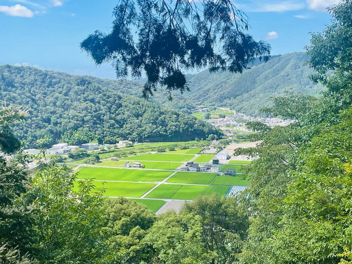 置塩城跡登山口-城山 往復コースの写真