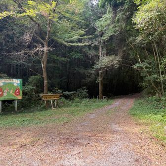 道路を約1.5km歩いて登山口