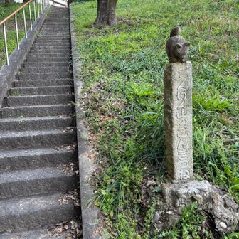 ごんきつねの権現山♪