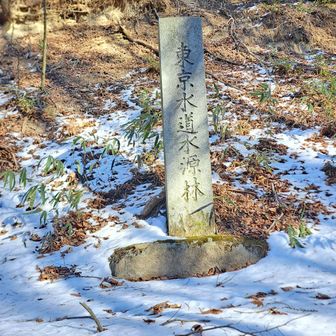 東京水道水原林の石票