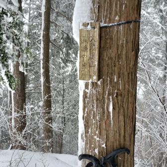 生藤山 おおぞうさとやま