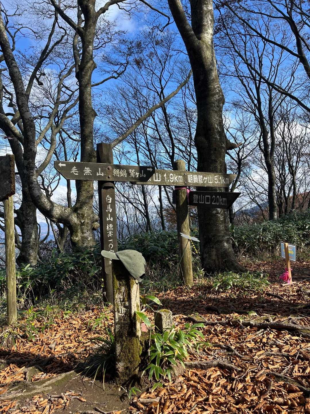 毛無山-白馬山-俣野越-金ヶ谷山 周回コースの写真