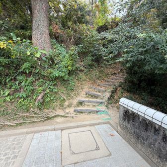 の反対側にそそられる感じの小路が続いとる✨