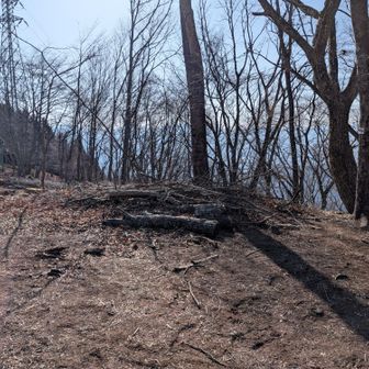 近所に2つの山標ですねw