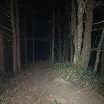 ヘッデン点けての歩きはやっぱり苦手😅んで、結構蒸し暑い🥵
予報では発雷⚡確率も下がり、頂上付近の最高気温は17℃北風🍃だし下も少し涼しいかな？って思ってました🙄