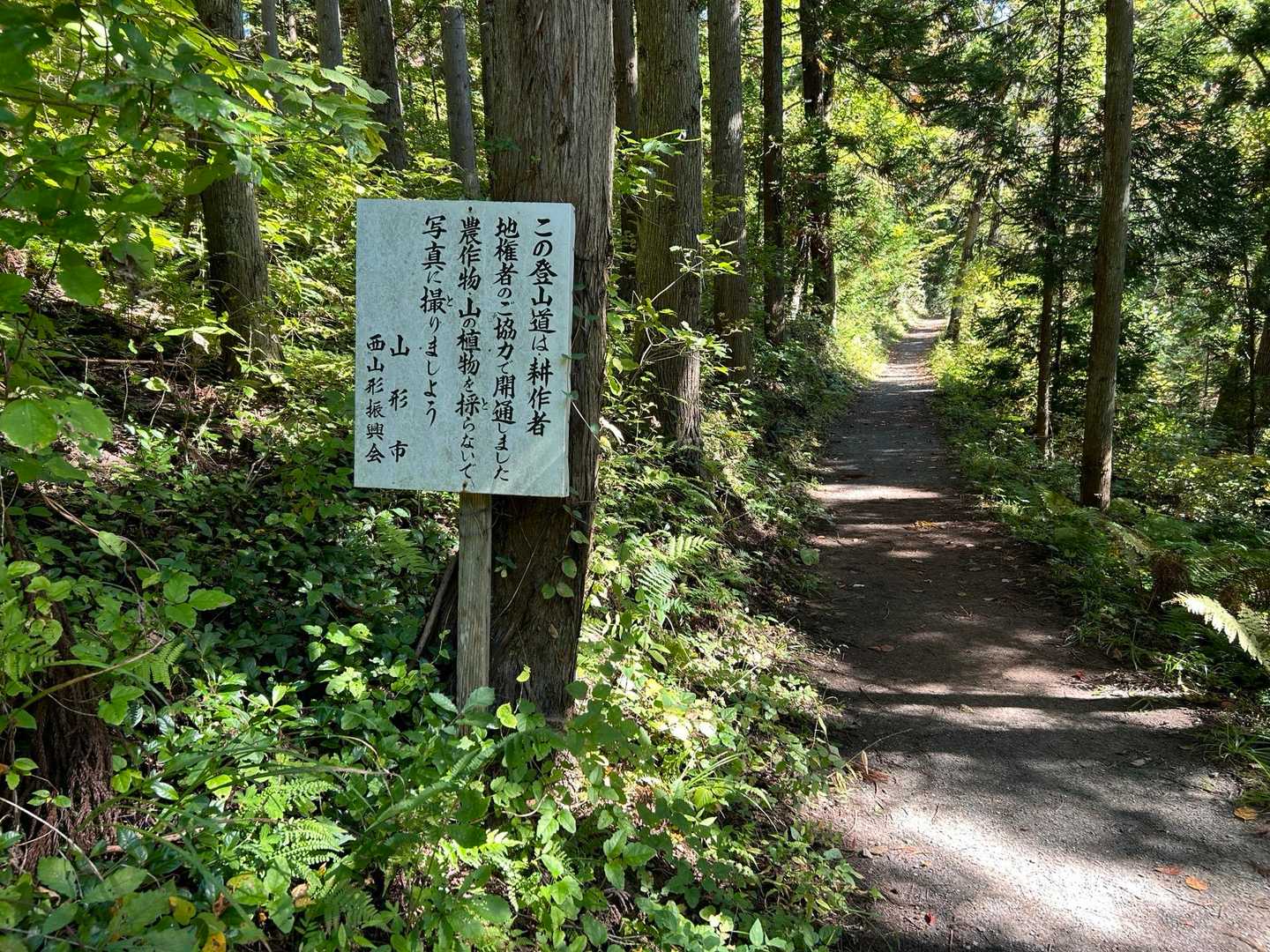 富神山 往復コースの写真