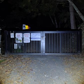 ゲート