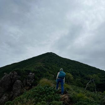 アポイマンテマ見つからず