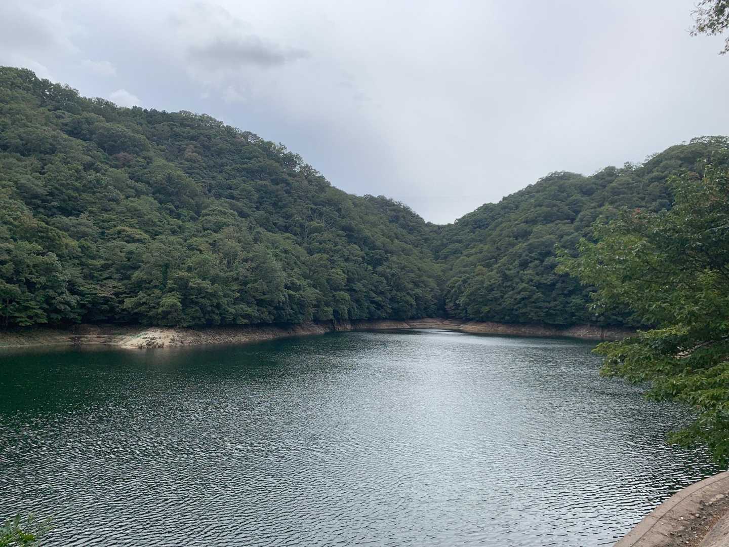やや水位が下がってる！？