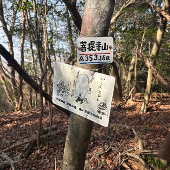 ニャロメー　懐かしい