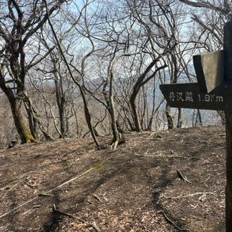 激降りは終わりました(･_･;