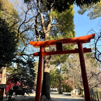 伊豆山神社はペット🆖なので、写真だけ撮らせていただきました。