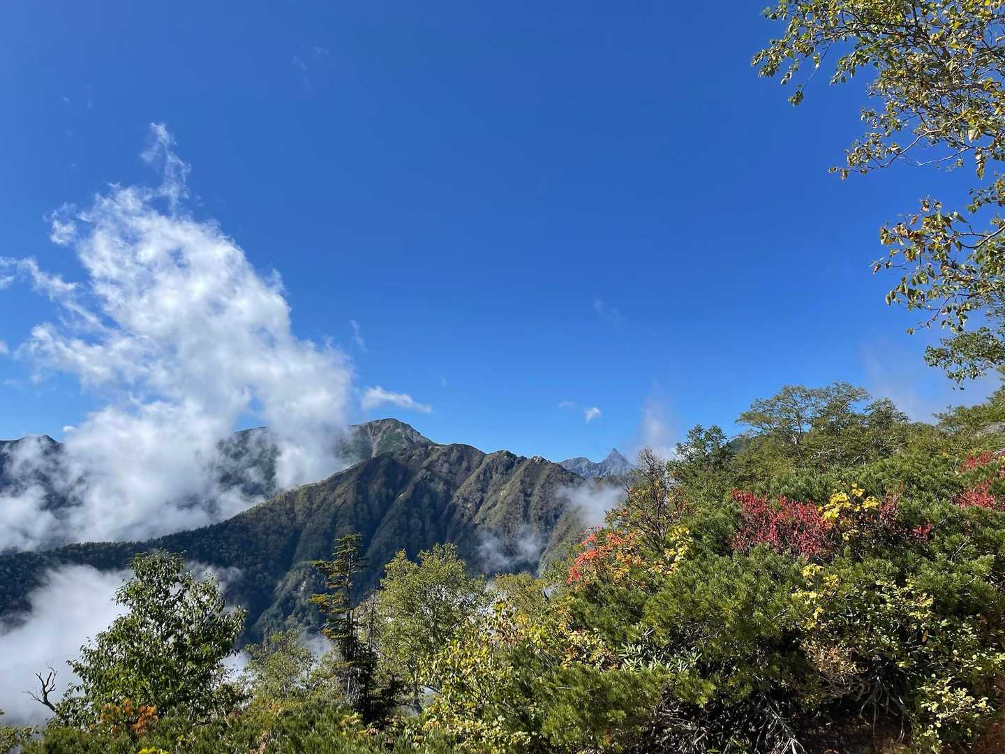 燕岳登山口-合戦沢の頭-燕岳-観音峠 縦走コースの写真