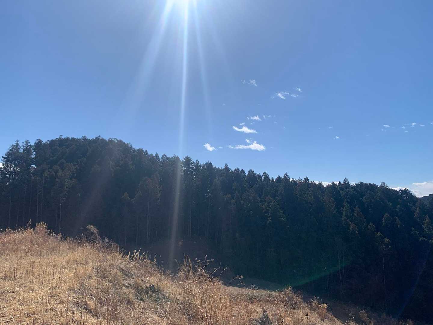 途中登山道の右➡️に広場がありました😊