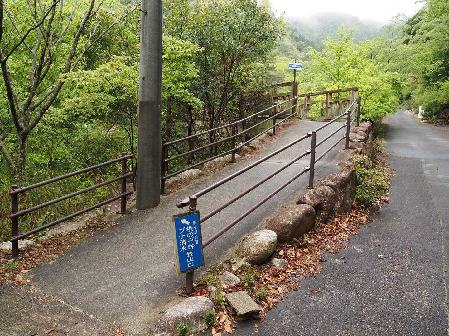 ブナシメジじゃないよ🤣
ブナ清水