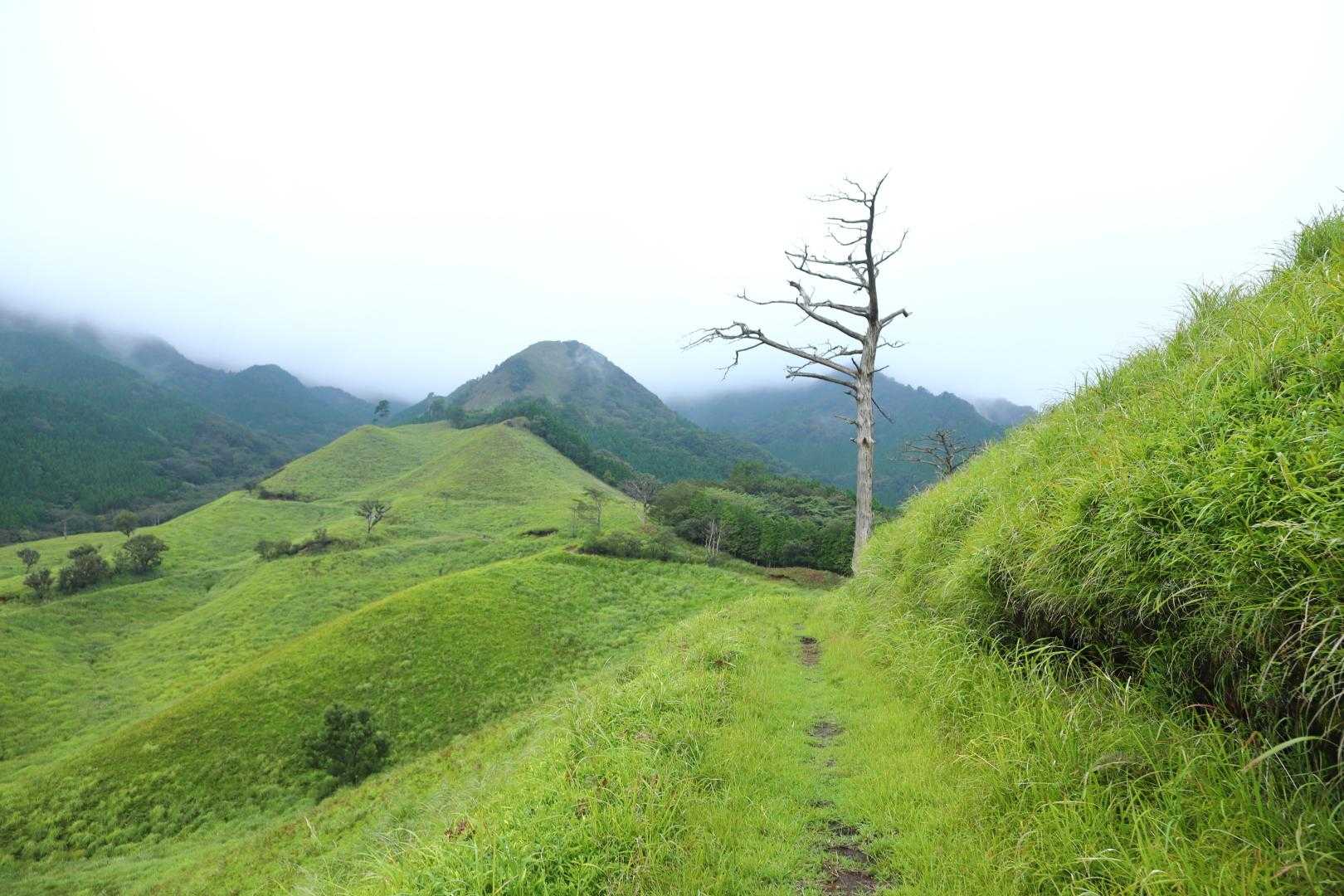 高城山 往復コースの写真