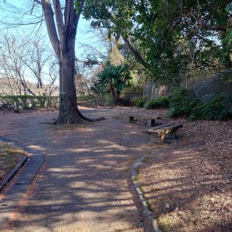中坂公園だそうです。