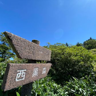 いよいよ西黒森