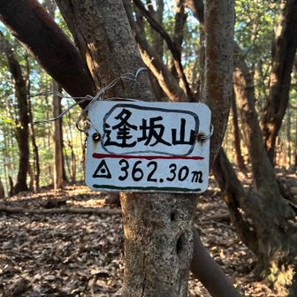 逢坂山 362.3m