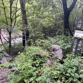 ココガ登山口デス✨