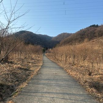 写真では分からないですが、まあまあの急坂です。