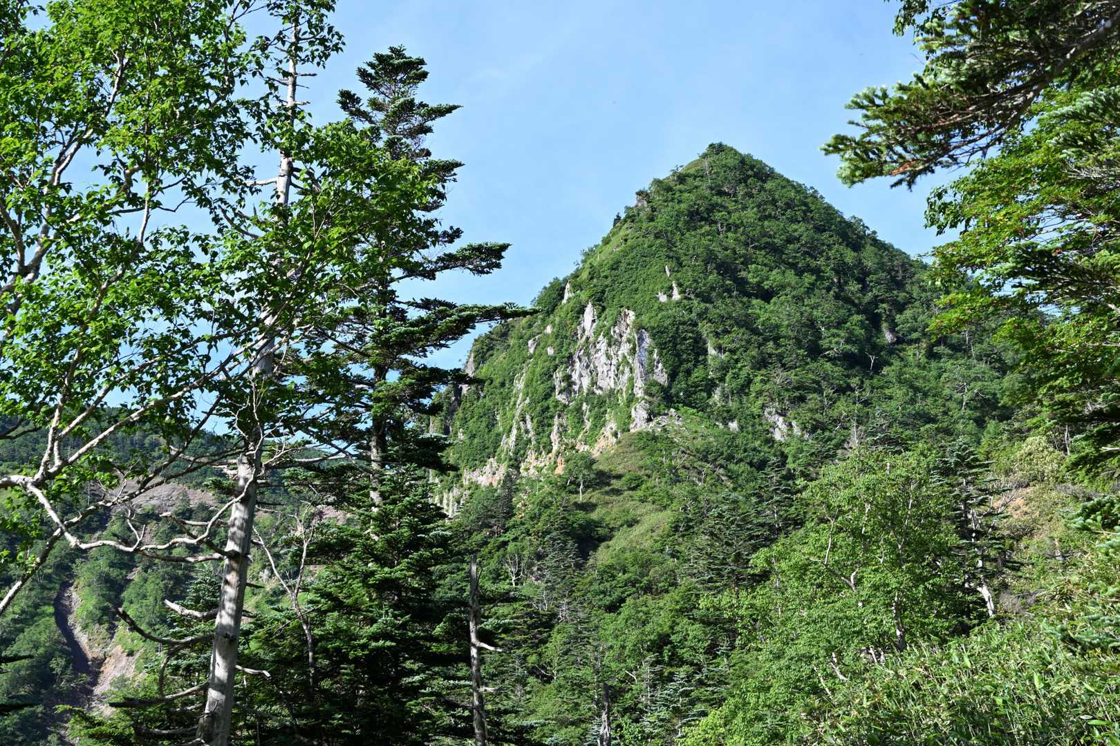 金精峠登山口-金精峠-金精山-五色山-前白根山 往復コースの写真